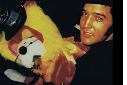 Elvis coming back from amusement park